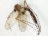  ( - TSZD-JKJ-107837)  @11 [ ] CreativeCommons - Attribution Non-Commercial Share-Alike (2019) Unspecified Tromsø University Museum