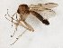  ( - TSZD-JKJ-107839)  @11 [ ] CreativeCommons - Attribution Non-Commercial Share-Alike (2019) Unspecified Tromsø University Museum