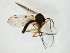  ( - TSZD-JKJ-107909)  @11 [ ] CreativeCommons - Attribution Non-Commercial Share-Alike (2019) Unspecified Tromsø University Museum
