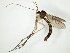  ( - TSZD-JKJ-107920)  @11 [ ] CreativeCommons - Attribution Non-Commercial Share-Alike (2019) Unspecified Tromsø University Museum