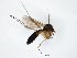  ( - TSZD-JKJ-107934)  @11 [ ] CreativeCommons - Attribution Non-Commercial Share-Alike (2019) Unspecified Tromsø University Museum