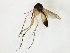  ( - TSZD-JKJ-107935)  @11 [ ] CreativeCommons - Attribution Non-Commercial Share-Alike (2019) Unspecified Tromsø University Museum
