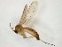  ( - TSZD-JKJ-107946)  @11 [ ] CreativeCommons - Attribution Non-Commercial Share-Alike (2019) Unspecified Tromsø University Museum