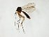  ( - TSZD-JKJ-107951)  @11 [ ] CreativeCommons - Attribution Non-Commercial Share-Alike (2019) Unspecified Tromsø University Museum
