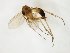  ( - TSZD-JKJ-107967)  @11 [ ] CreativeCommons - Attribution Non-Commercial Share-Alike (2019) Unspecified Tromsø University Museum