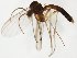  ( - TSZD-JKJ-107983)  @11 [ ] CreativeCommons - Attribution Non-Commercial Share-Alike (2019) Unspecified Tromsø University Museum