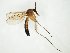  ( - TSZD-JKJ-107992)  @11 [ ] CreativeCommons - Attribution Non-Commercial Share-Alike (2019) Unspecified Tromsø University Museum