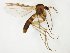  ( - TSZD-JKJ-107994)  @11 [ ] CreativeCommons - Attribution Non-Commercial Share-Alike (2019) Unspecified Tromsø University Museum