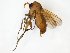 ( - TSZD-JKJ-111227)  @11 [ ] by-nc-sa (2020) Unspecified Tromsø University Museum
