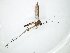  ( - TSZD-JKJ-111268)  @11 [ ] by-nc-sa (2020) Unspecified Tromsø University Museum