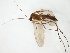  ( - TSZD-JKJ-111288)  @11 [ ] by-nc-sa (2020) Unspecified Tromsø University Museum