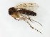 ( - TSZD-JKJ-111675)  @11 [ ] by-nc-sa (2021) Unspecified Tromsø University Museum