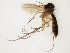  ( - TSZD-JKJ-111885)  @11 [ ] by-nc-sa (2021) Unspecified Tromsø University Museum