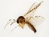  ( - TSZD-JKJ-111891)  @11 [ ] by-nc-sa (2021) Unspecified Tromsø University Museum