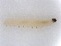  ( - TSZD-JKJ-112297)  @11 [ ] by-nc-sa (2022) Unspecified Tromsø University Museum