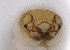  ( - TSZD-JKJ-112330)  @11 [ ] by-nc-sa (2022) Unspecified Tromsø University Museum