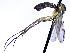  ( - TSZD-JKJ-112404)  @11 [ ] by-nc-sa (2021) Unspecified Forest Resarch Institute