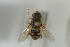  ( - NORSY449)  @11 [ ] CreativeCommons - Attribution Non-Commercial Share-Alike (2015) Arnstein Staverlokk Norwegian Institute of Nature Research