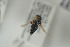  ( - NORSY463)  @12 [ ] CreativeCommons - Attribution Non-Commercial Share-Alike (2015) Arnstein Staverlokk Norwegian Institute of Nature Research