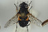  ( - NORSY435)  @14 [ ] CreativeCommons - Attribution Non-Commercial Share-Alike (2015) Arnstein Staverlokk Norwegian Institute of Nature Research