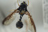  ( - NORSY437)  @11 [ ] CreativeCommons - Attribution Non-Commercial Share-Alike (2015) Arnstein Staverlokk Norwegian Institute of Nature Research