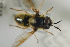  ( - NORSY497)  @11 [ ] CreativeCommons - Attribution Non-Commercial Share-Alike (2015) Arnstein Staverlokk Norwegian Institute of Nature Research