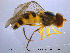  ( - NorSy04)  @13 [ ] CreativeCommons - Attribution Non-Commercial Share-Alike (2012) NTNU Museum of Natural History and Archaeology NTNU Museum of Natural History and Archaeology