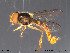  ( - NorSy112)  @13 [ ] CreativeCommons - Attribution Non-Commercial Share-Alike (2012) NTNU Museum of Natural History and Archaeology NTNU Museum of Natural History and Archaeology