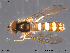  ( - NorSy117)  @13 [ ] CreativeCommons - Attribution Non-Commercial Share-Alike (2012) NTNU Museum of Natural History and Archaeology NTNU Museum of Natural History and Archaeology