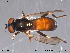  ( - NorSy118)  @13 [ ] CreativeCommons - Attribution Non-Commercial Share-Alike (2012) NTNU Museum of Natural History and Archaeology NTNU Museum of Natural History and Archaeology