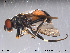  ( - NorSy119)  @13 [ ] CreativeCommons - Attribution Non-Commercial Share-Alike (2012) NTNU Museum of Natural History and Archaeology NTNU Museum of Natural History and Archaeology