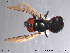  ( - NorSy124)  @13 [ ] CreativeCommons - Attribution Non-Commercial Share-Alike (2012) NTNU Museum of Natural History and Archaeology NTNU Museum of Natural History and Archaeology