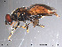  ( - NorSy127)  @13 [ ] CreativeCommons - Attribution Non-Commercial Share-Alike (2012) NTNU Museum of Natural History and Archaeology NTNU Museum of Natural History and Archaeology