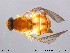  ( - NorSy139)  @12 [ ] CreativeCommons - Attribution Non-Commercial Share-Alike (2012) NTNU Museum of Natural History and Archaeology NTNU Museum of Natural History and Archaeology