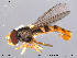  ( - NorSy142)  @14 [ ] CreativeCommons - Attribution Non-Commercial Share-Alike (2012) NTNU Museum of Natural History and Archaeology NTNU Museum of Natural History and Archaeology