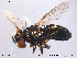  ( - NorSy143)  @13 [ ] CreativeCommons - Attribution Non-Commercial Share-Alike (2012) NTNU Museum of Natural History and Archaeology NTNU Museum of Natural History and Archaeology