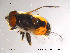  ( - NorSy149)  @14 [ ] CreativeCommons - Attribution Non-Commercial Share-Alike (2012) NTNU Museum of Natural History and Archaeology NTNU Museum of Natural History and Archaeology