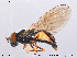  ( - NorSy152)  @14 [ ] CreativeCommons - Attribution Non-Commercial Share-Alike (2012) NTNU Museum of Natural History and Archaeology NTNU Museum of Natural History and Archaeology