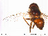  ( - NorSy173)  @12 [ ] CreativeCommons - Attribution Non-Commercial Share-Alike (2012) NTNU Museum of Natural History and Archaeology NTNU Museum of Natural History and Archaeology