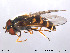  ( - NorSy179)  @13 [ ] CreativeCommons - Attribution Non-Commercial Share-Alike (2012) NTNU Museum of Natural History and Archaeology NTNU Museum of Natural History and Archaeology