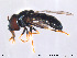  ( - NorSy181)  @11 [ ] CreativeCommons - Attribution Non-Commercial Share-Alike (2012) NTNU Museum of Natural History and Archaeology NTNU Museum of Natural History and Archaeology