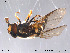  ( - NorSy188)  @12 [ ] CreativeCommons - Attribution Non-Commercial Share-Alike (2012) NTNU Museum of Natural History and Archaeology NTNU Museum of Natural History and Archaeology