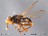  ( - NorSy197)  @11 [ ] CreativeCommons - Attribution Non-Commercial Share-Alike (2012) NTNU Museum of Natural History and Archaeology NTNU Museum of Natural History and Archaeology