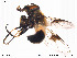  ( - NorSy203)  @13 [ ] CreativeCommons - Attribution Non-Commercial Share-Alike (2012) NTNU Museum of Natural History and Archaeology NTNU Museum of Natural History and Archaeology