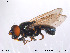  ( - NorSy204)  @13 [ ] CreativeCommons - Attribution Non-Commercial Share-Alike (2012) NTNU Museum of Natural History and Archaeology NTNU Museum of Natural History and Archaeology
