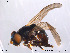  ( - NorSy205)  @13 [ ] CreativeCommons - Attribution Non-Commercial Share-Alike (2012) NTNU Museum of Natural History and Archaeology NTNU Museum of Natural History and Archaeology