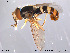  ( - NorSy206)  @11 [ ] CreativeCommons - Attribution Non-Commercial Share-Alike (2012) NTNU Museum of Natural History and Archaeology NTNU Museum of Natural History and Archaeology