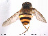  ( - NorSy213)  @13 [ ] CreativeCommons - Attribution Non-Commercial Share-Alike (2012) NTNU Museum of Natural History and Archaeology NTNU Museum of Natural History and Archaeology