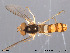  ( - NorSy214)  @13 [ ] CreativeCommons - Attribution Non-Commercial Share-Alike (2012) NTNU Museum of Natural History and Archaeology NTNU Museum of Natural History and Archaeology