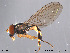  ( - NorSy215)  @13 [ ] CreativeCommons - Attribution Non-Commercial Share-Alike (2012) NTNU Museum of Natural History and Archaeology NTNU Museum of Natural History and Archaeology